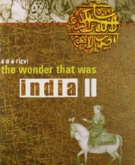 The Wonder That Was India Vol. 2
